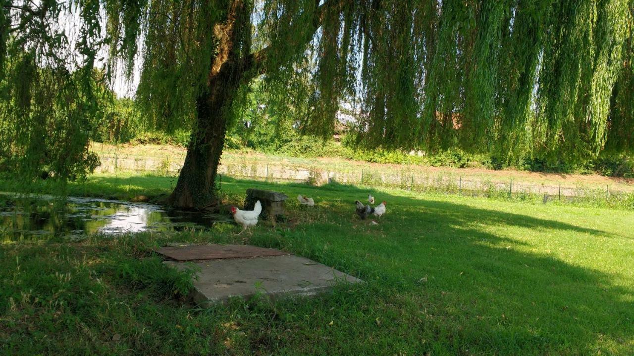 Agriturismo Cascina Poscallone Abbiategrasso Ngoại thất bức ảnh
